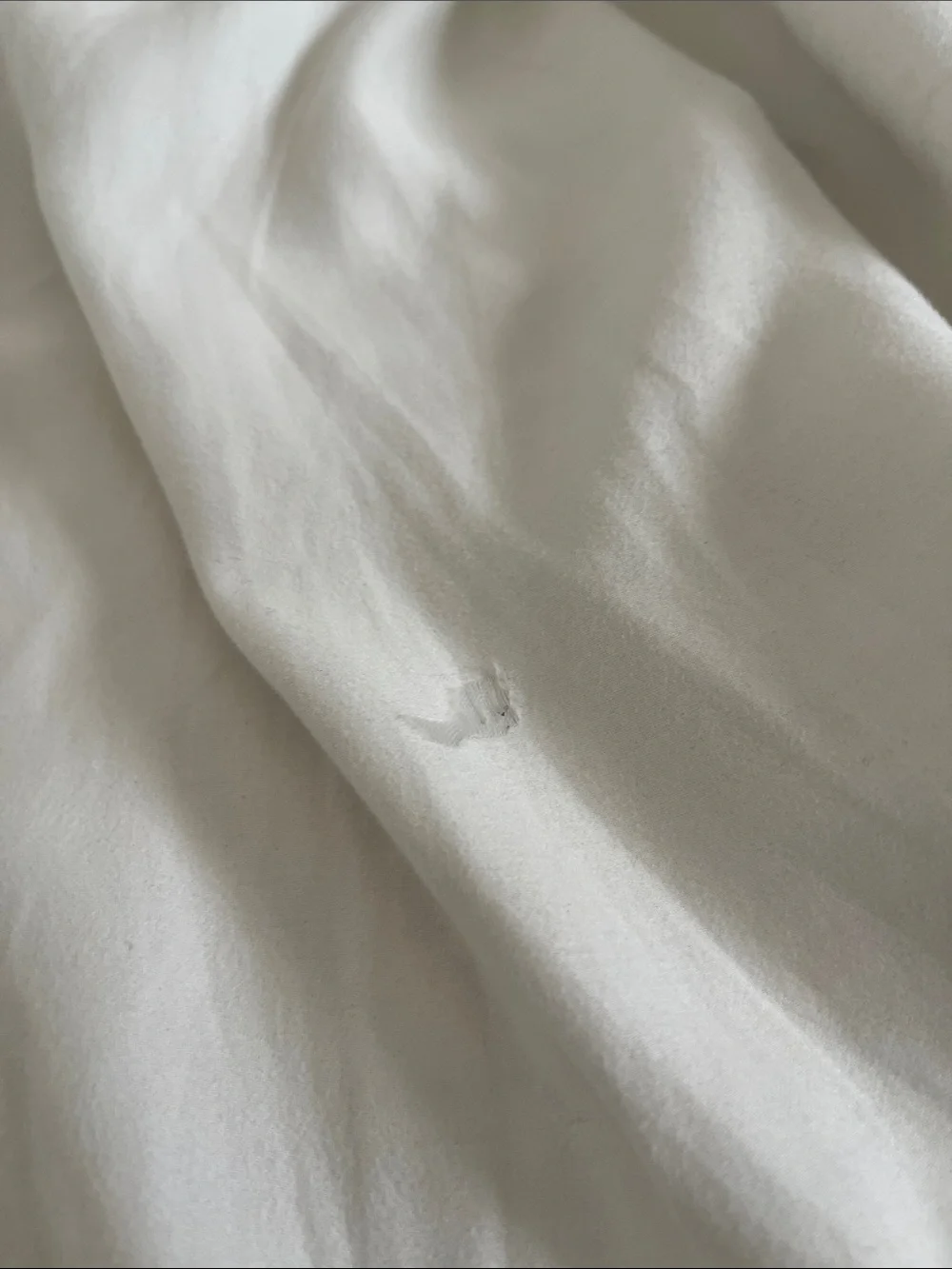 Charter Club King Pillow Cases and Serta King Pillow Set *WONT LAST